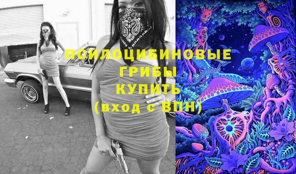 трава Ахтубинск