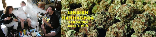 индика Михайлов