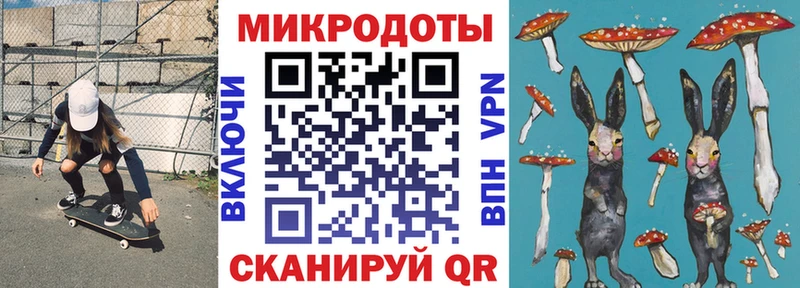 Псилоцибиновые грибы ЛСД  darknet как зайти  Звенигово 